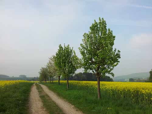 Ludolfshausen-und-Umgebung-048