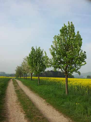 Ludolfshausen-und-Umgebung-049