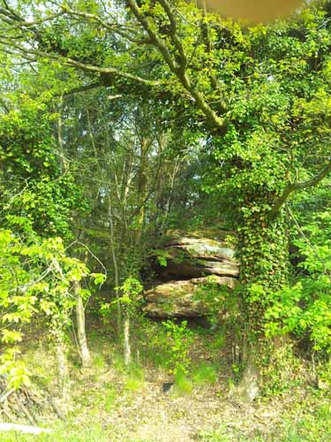 Ludolfshausen-und-Umgebung-055