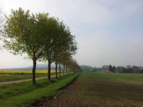 Ludolfshausen-und-Umgebung-056