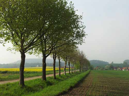 Ludolfshausen-und-Umgebung-057