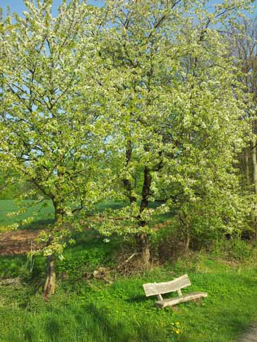 Ludolfshausen-und-Umgebung-063