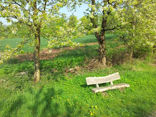 Ludolfshausen-und-Umgebung-064