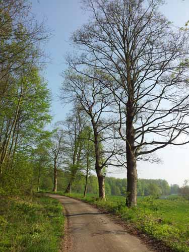 Ludolfshausen-und-Umgebung-066