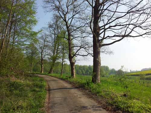 Ludolfshausen-und-Umgebung-067