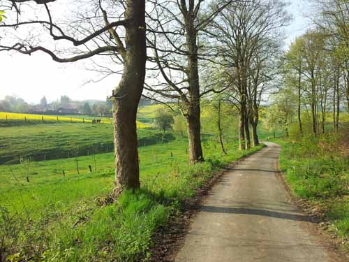 Ludolfshausen-und-Umgebung-068