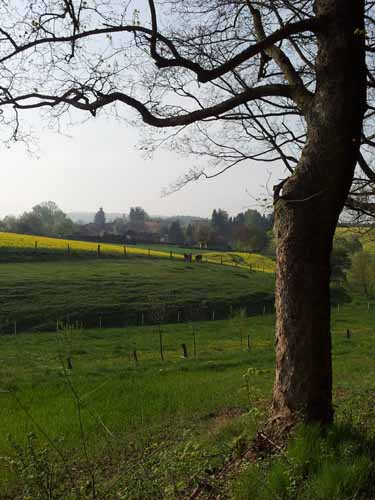 Ludolfshausen-und-Umgebung-069