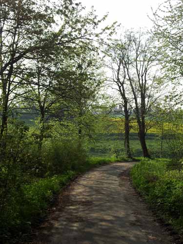 Ludolfshausen-und-Umgebung-070