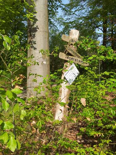 Ludolfshausen-und-Umgebung-071