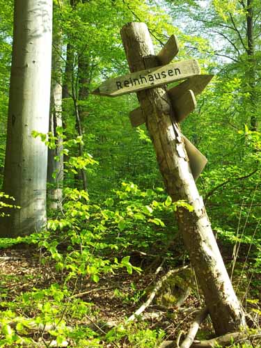 Ludolfshausen-und-Umgebung-072