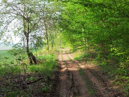 Ludolfshausen-und-Umgebung-075