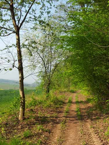 Ludolfshausen-und-Umgebung-076