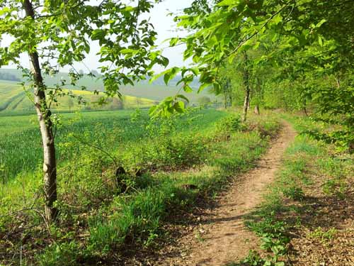 Ludolfshausen-und-Umgebung-077