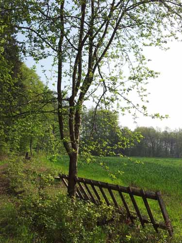 Ludolfshausen-und-Umgebung-078