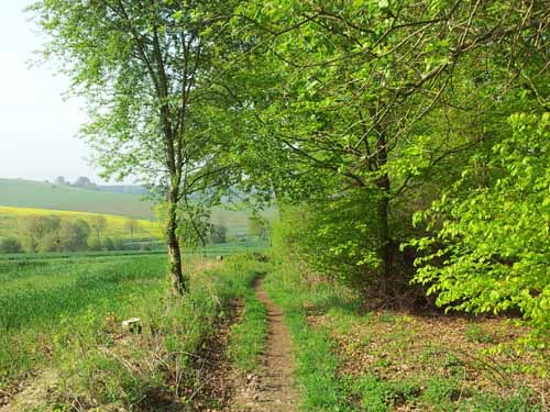 Ludolfshausen-und-Umgebung-079