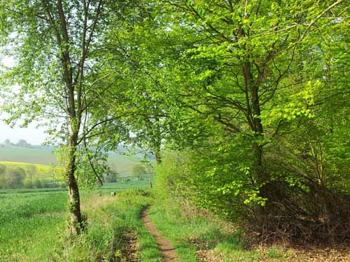 Ludolfshausen-und-Umgebung-080