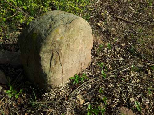 Ludolfshausen-und-Umgebung-083