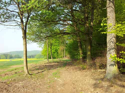 Ludolfshausen-und-Umgebung-084