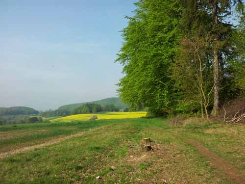 Ludolfshausen-und-Umgebung-085