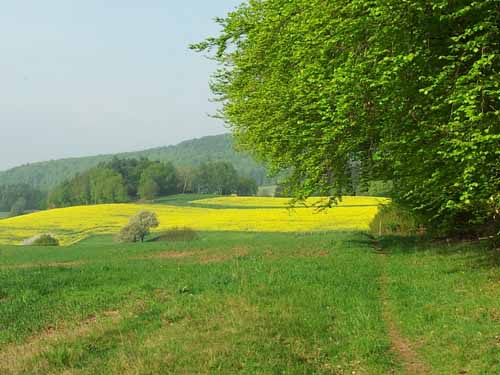 Ludolfshausen-und-Umgebung-086