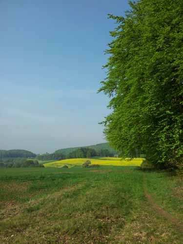 Ludolfshausen-und-Umgebung-087