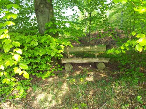 Ludolfshausen-und-Umgebung-088