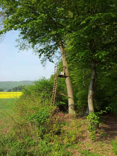 Ludolfshausen-und-Umgebung-091