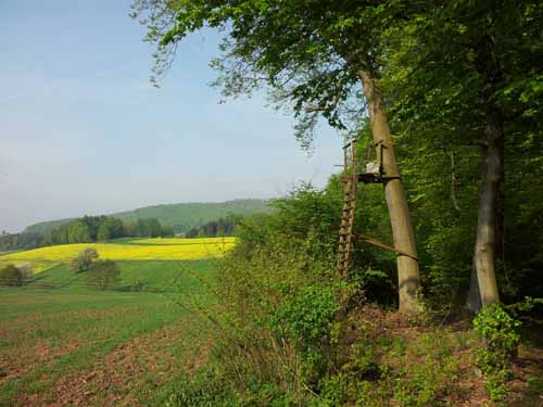 Ludolfshausen-und-Umgebung-092