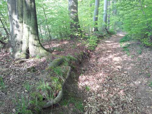 Ludolfshausen-und-Umgebung-094