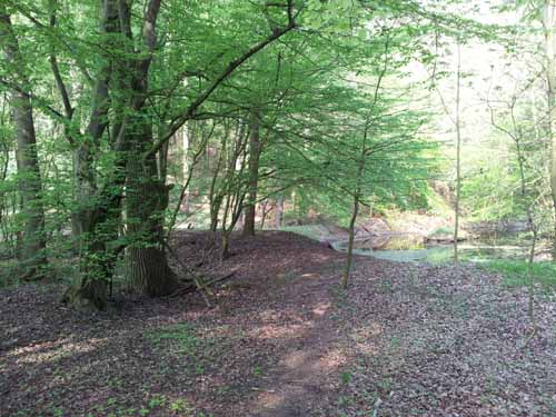 Ludolfshausen-und-Umgebung-096