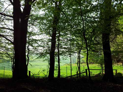 Ludolfshausen-und-Umgebung-098