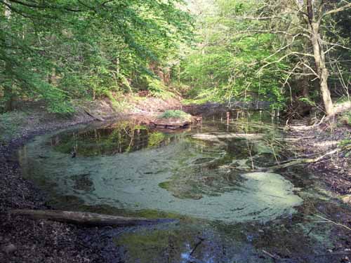 Ludolfshausen-und-Umgebung-100