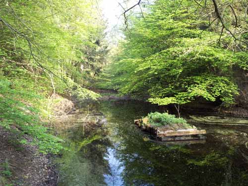 Ludolfshausen-und-Umgebung-101