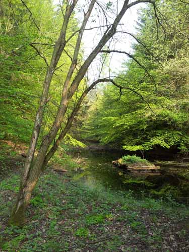 Ludolfshausen-und-Umgebung-102
