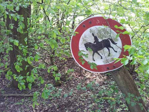 Ludolfshausen-und-Umgebung-103