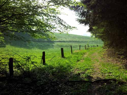 Ludolfshausen-und-Umgebung-104
