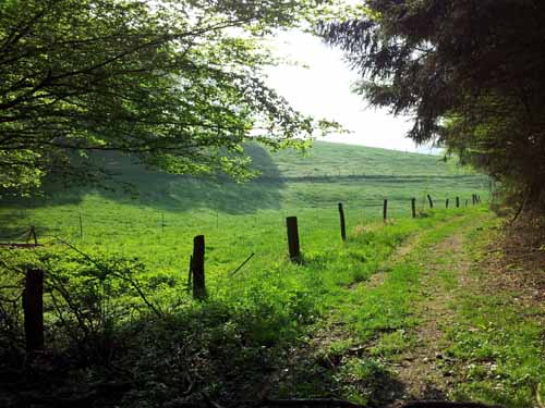 Ludolfshausen-und-Umgebung-105