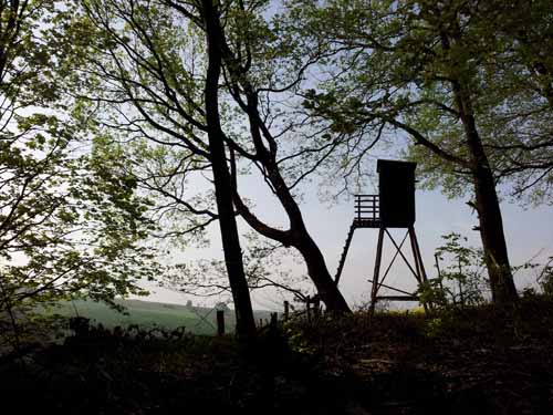 Ludolfshausen-und-Umgebung-106