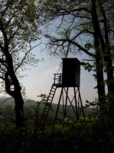 Ludolfshausen-und-Umgebung-107