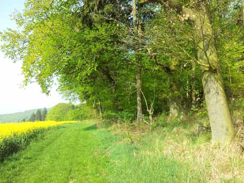 Ludolfshausen-und-Umgebung-109