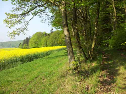 Ludolfshausen-und-Umgebung-111