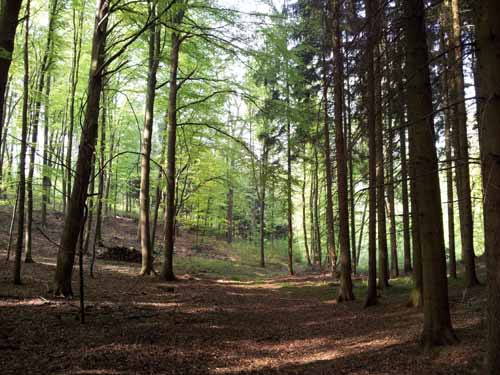 Ludolfshausen-und-Umgebung-113