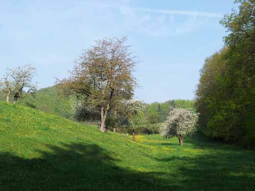 Ludolfshausen-und-Umgebung-116