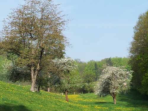 Ludolfshausen-und-Umgebung-117