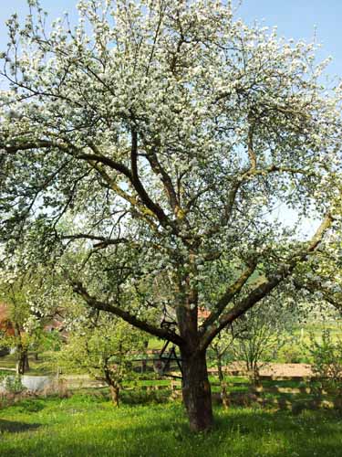 Ludolfshausen-und-Umgebung-123