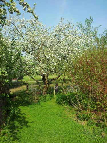 Ludolfshausen-und-Umgebung-130