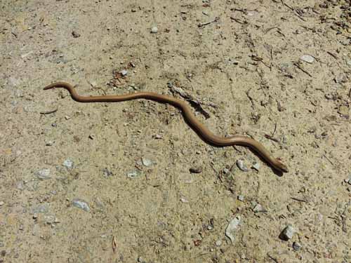 Ludolfshausen-und-Umgebung-131