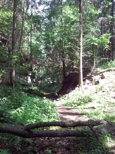 Ludolfshausen-und-Umgebung-136