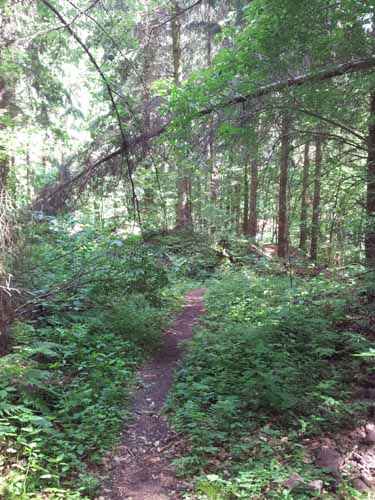 Ludolfshausen-und-Umgebung-137