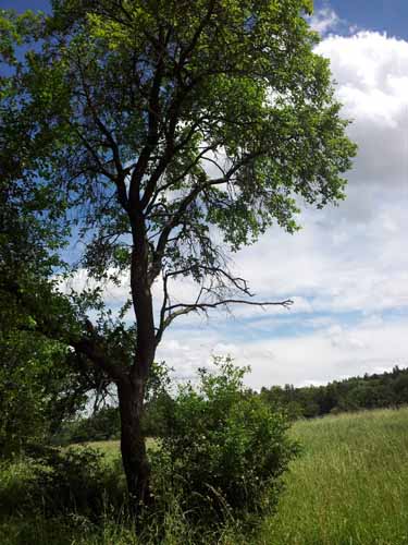 Ludolfshausen-und-Umgebung-140